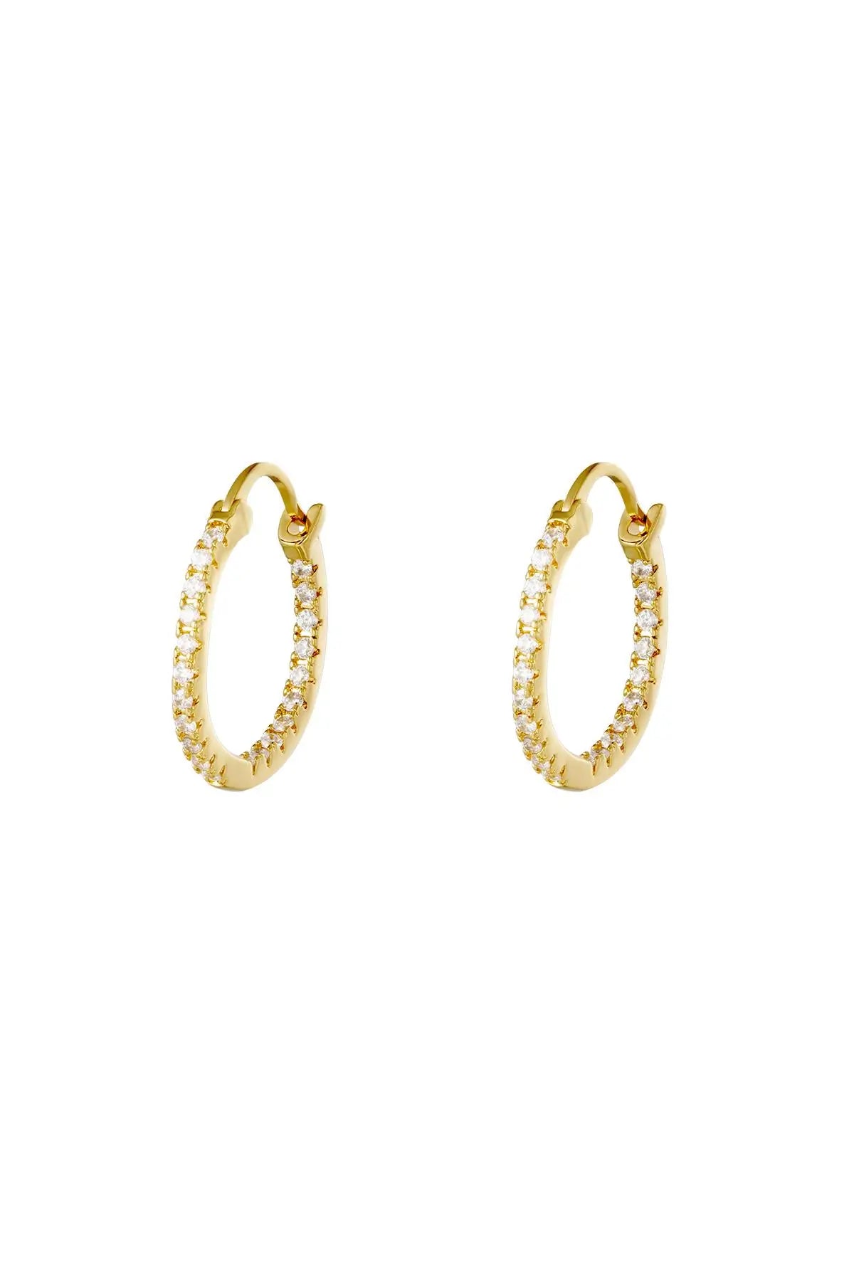 Oorbellen Shiny Hoops Goud